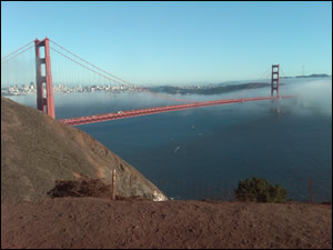  Let us take you sightseeing in San Francisco or through the Bay Area and make it an unforgettable moment.